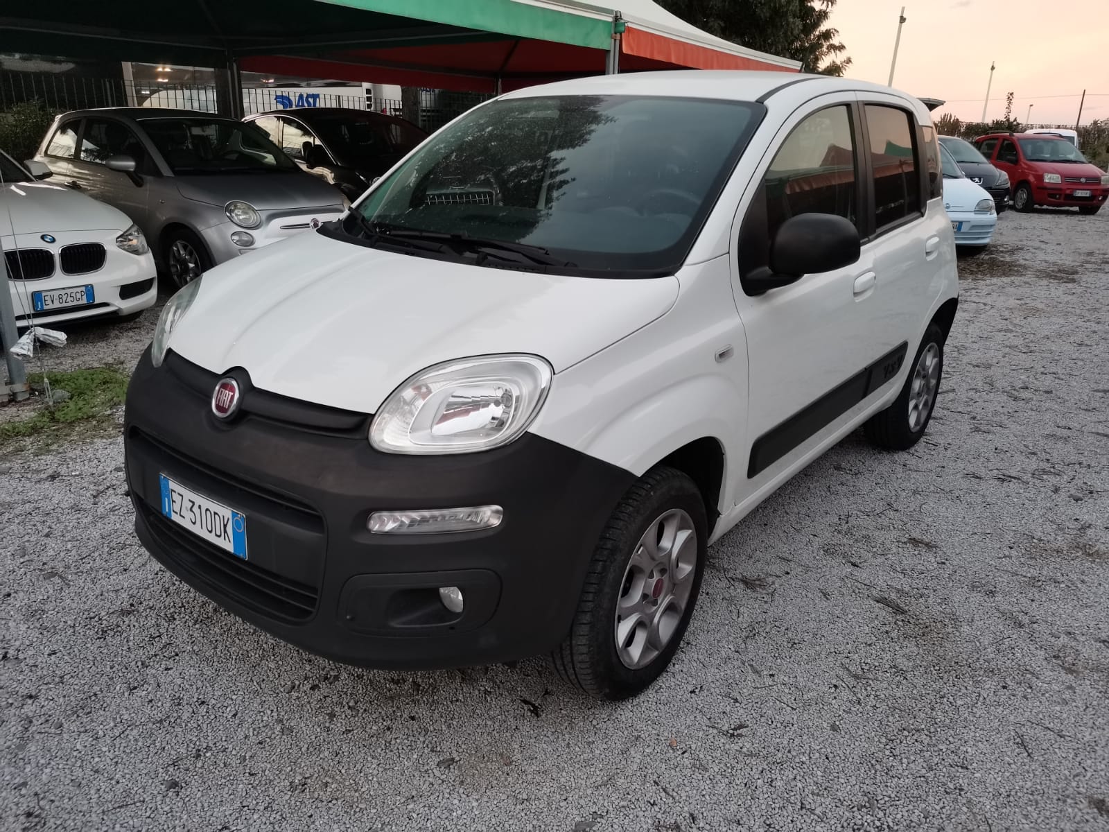 FIAT Panda 4x4 1.3 mjt